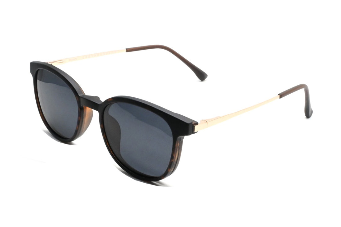 Brillen greyhounders bondi + clip-on c2 havana havana pantos unisex größe 51mm - Hauptansicht