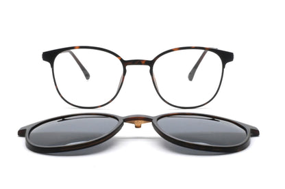 GREYHOUNDERS BONDI + CLIP-ON C2 HAVANA 51