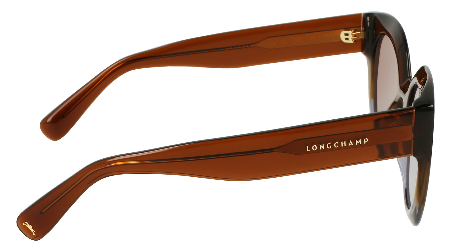 LONGCHAMP LO750S 208 49