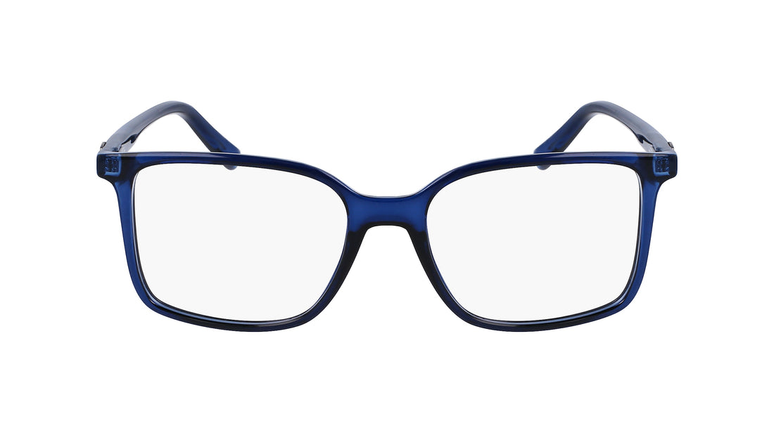 FERRAGAMO SF2954 420 54