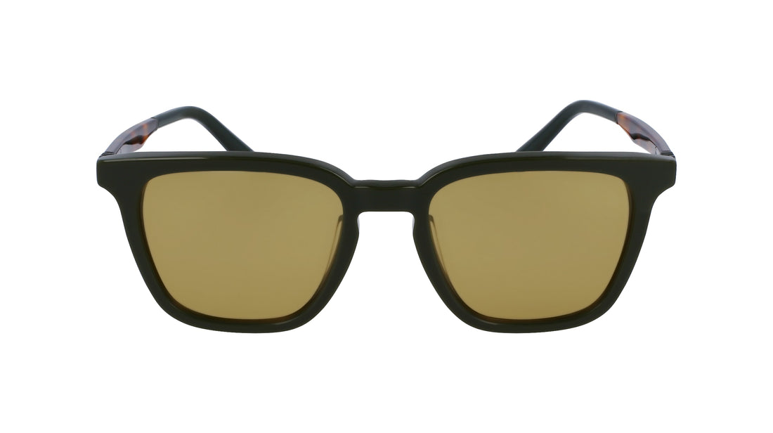 FERRAGAMO SF1100S 302 52