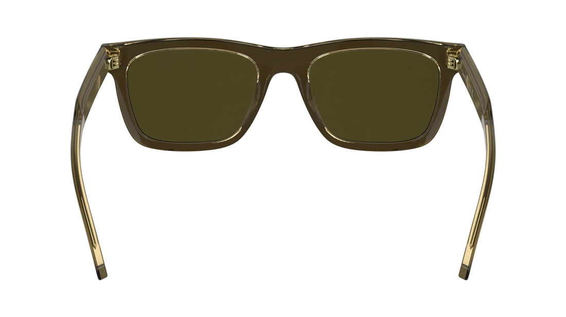 CALVIN KLEIN CK25506S 200 54