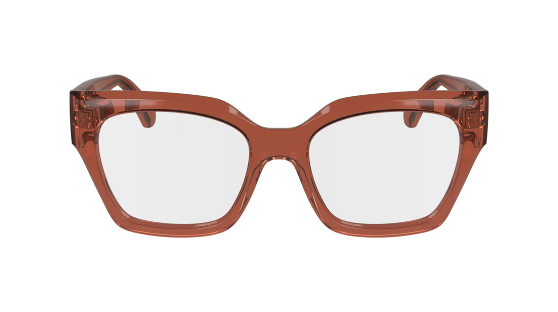 FERRAGAMO SF2983 224 53