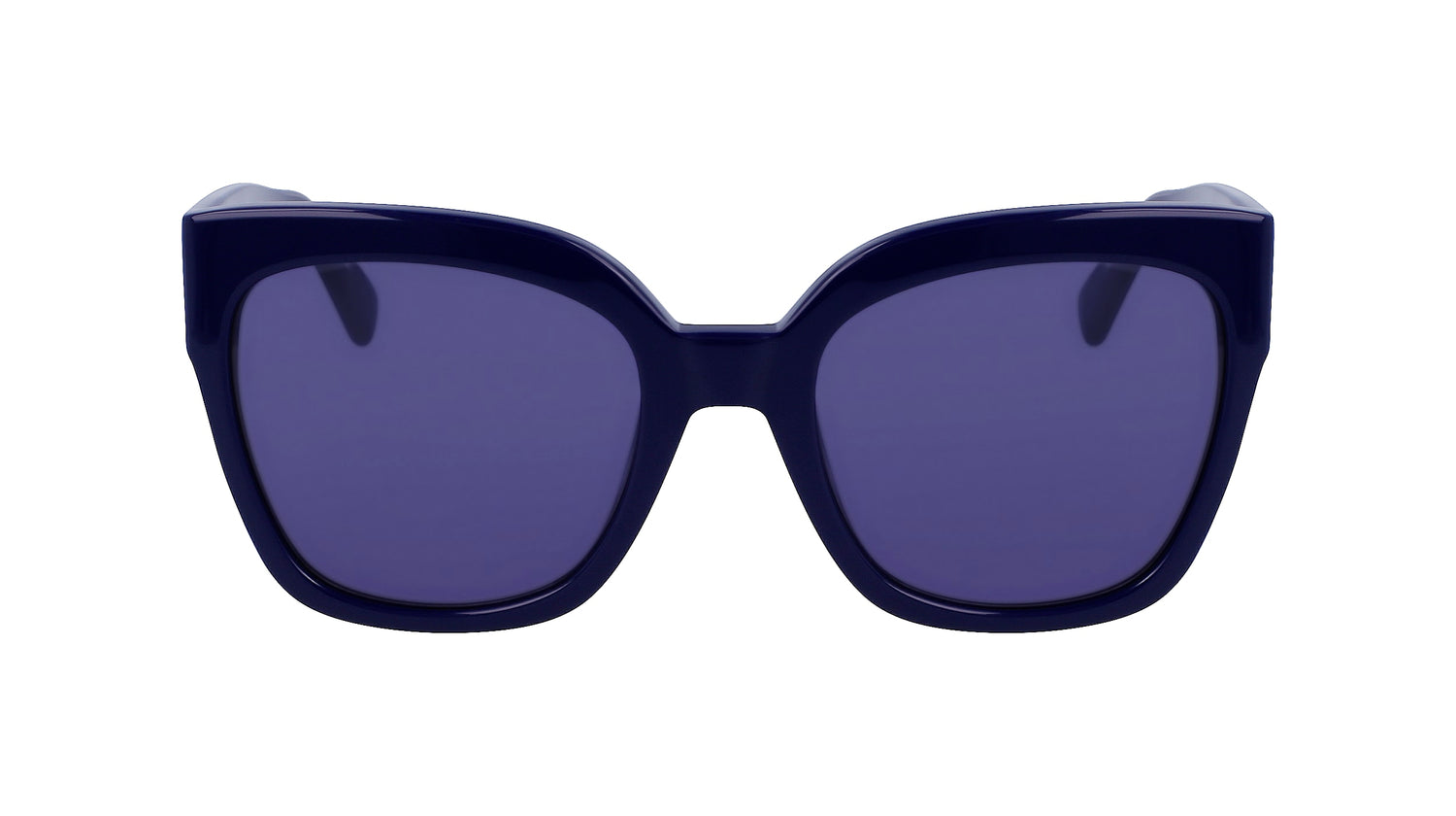 LONGCHAMP LO717S 400 55