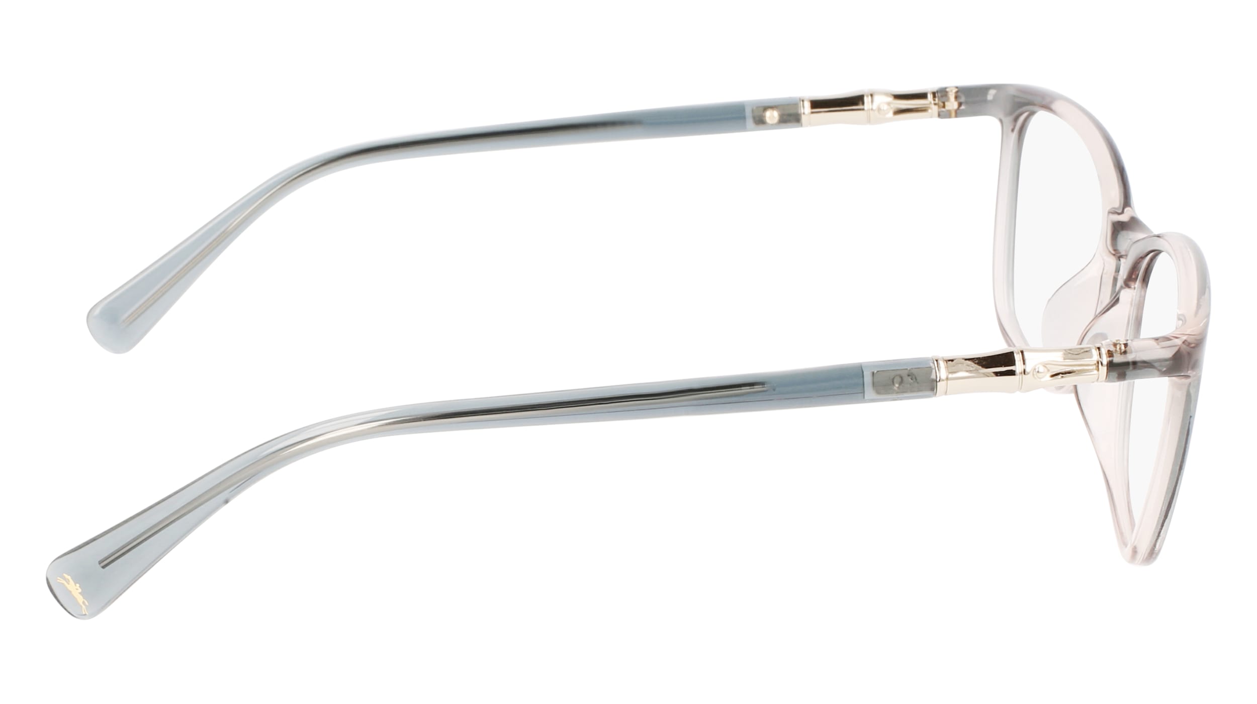 LONGCHAMP LO2695 425 53