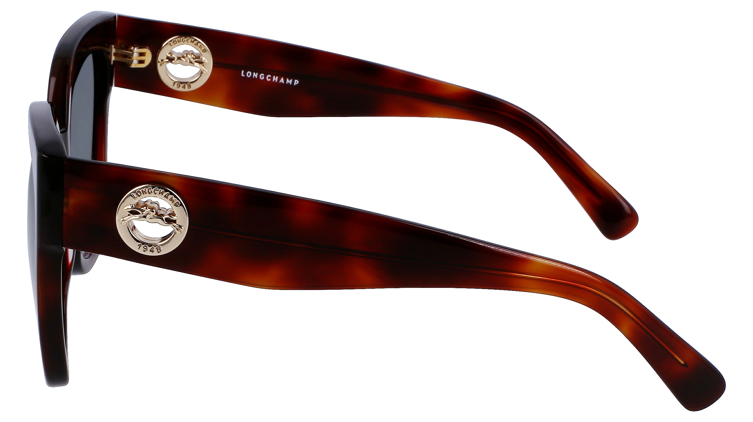 LONGCHAMP LO717S 230 55