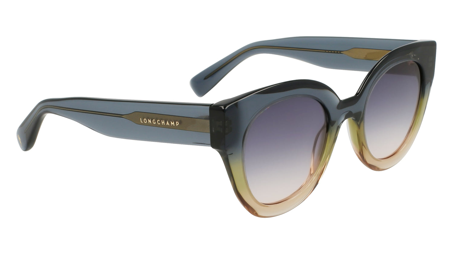 LONGCHAMP LO750S 434 49