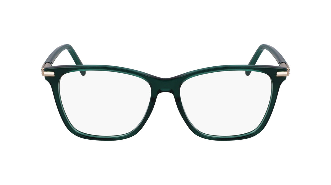 FERRAGAMO SF3013 317 53