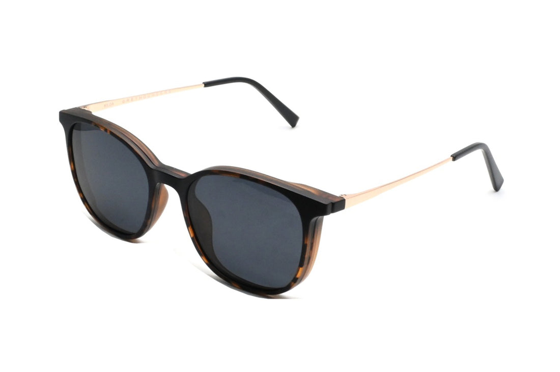 Brillen greyhounders kilda + clip-on c2 havana havana square unisex größe 52mm - Hauptansicht