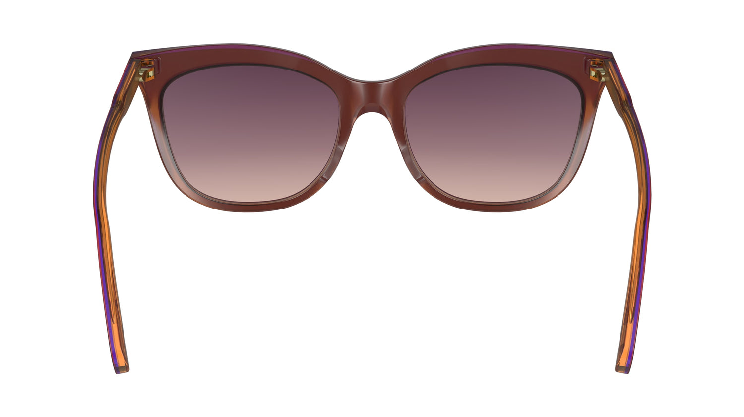 LONGCHAMP LO738S 681 53