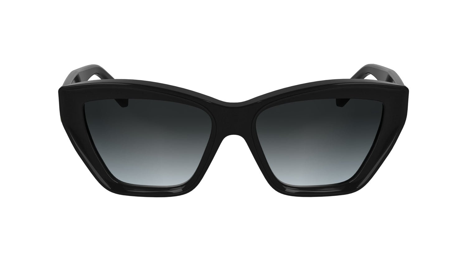 KARL LAGERFELD KL6179S 001 55