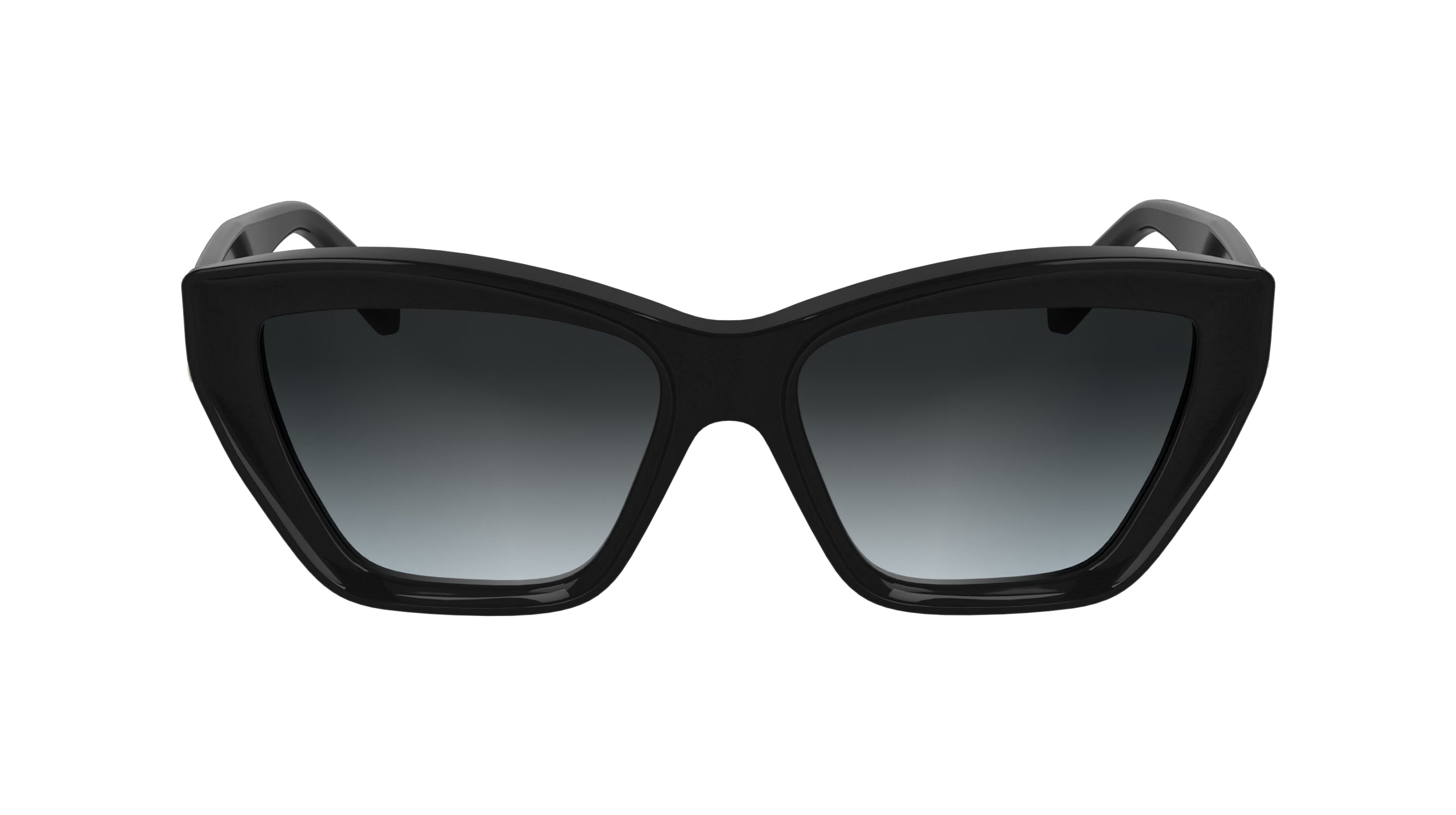 KARL LAGERFELD KL6179S 001 55