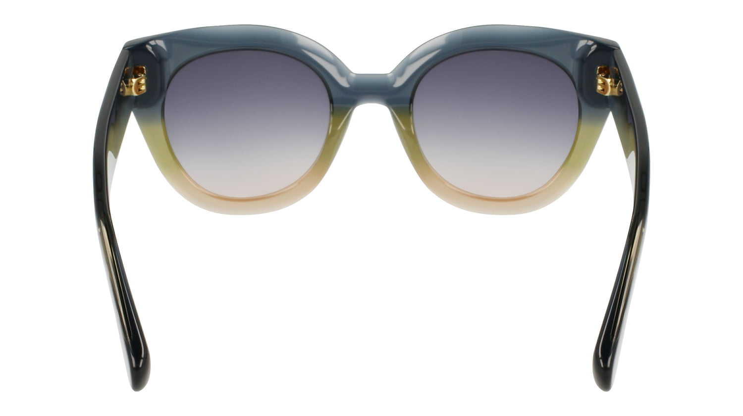 LONGCHAMP LO750S 434 49