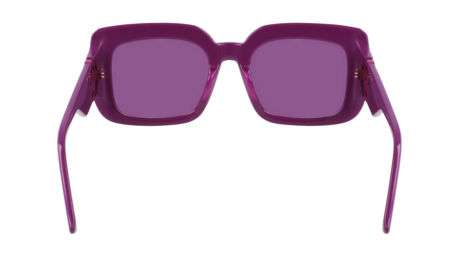 LONGCHAMP LO753S 500 51