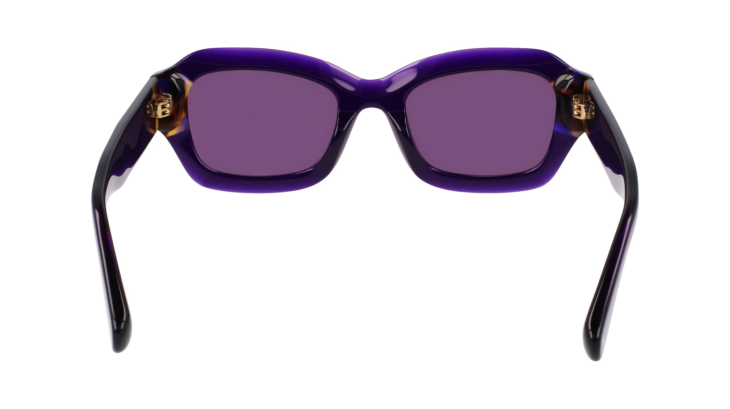 LONGCHAMP LO749S 505 50