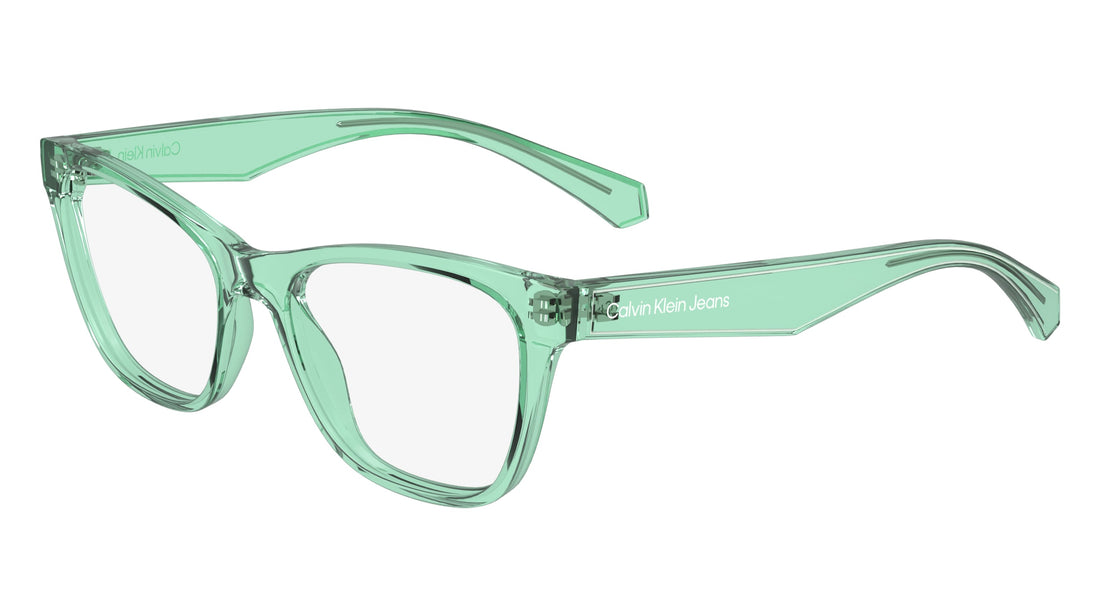 CALVIN KLEIN JEANS CKJ24304 300 47