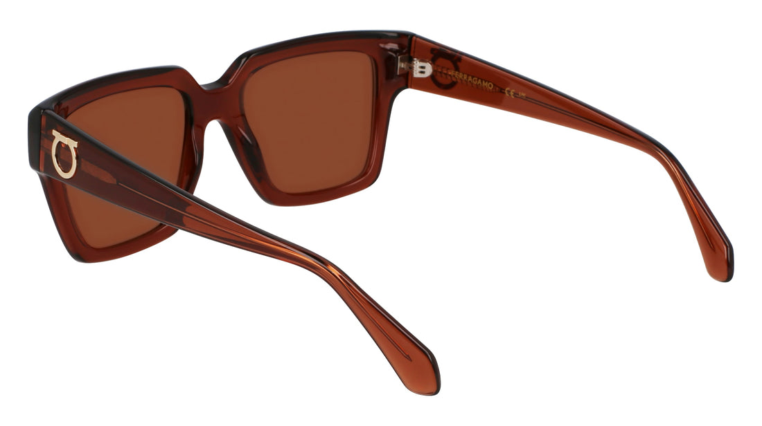 Óculos de sol ferragamo sf2014s 232 marron rectangular femenino tamanho 54mm - Vista de detalhe