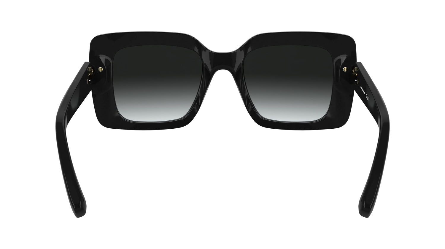 LONGCHAMP LO776S 001 50