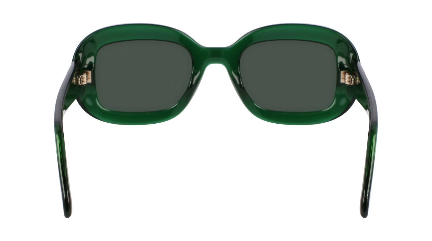 FERRAGAMO SF2038SE 317 51