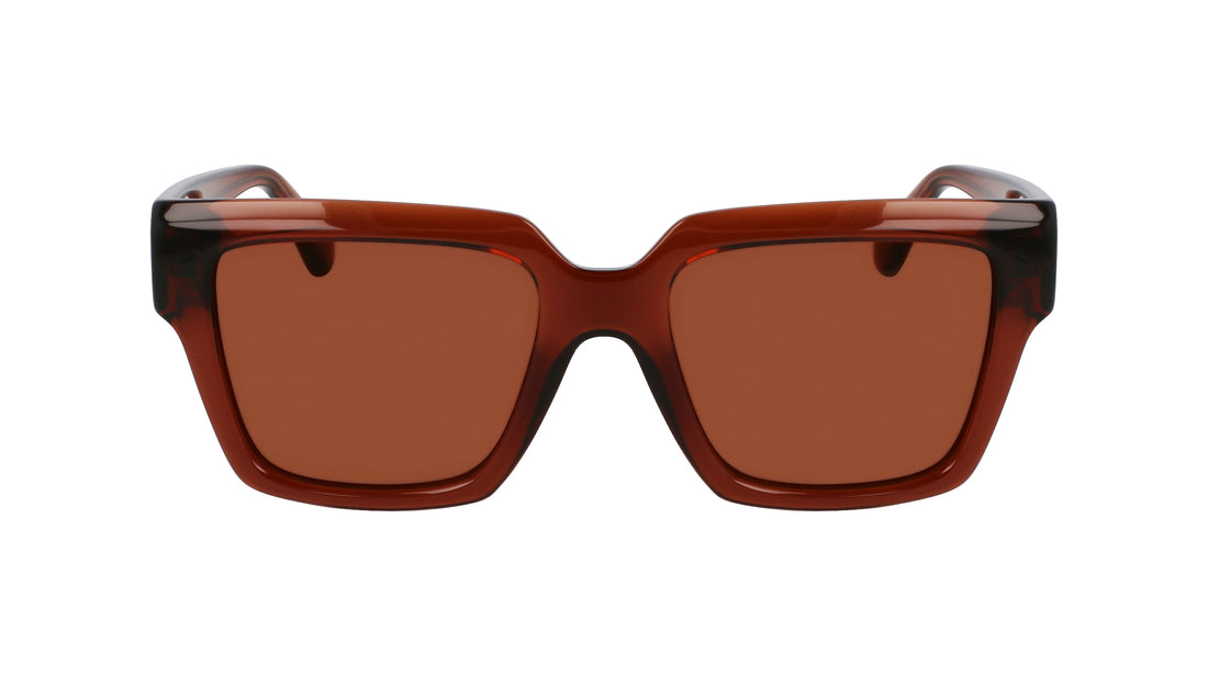 Óculos de sol ferragamo sf2014s 232 marron rectangular femenino tamanho 54mm - Vista principal