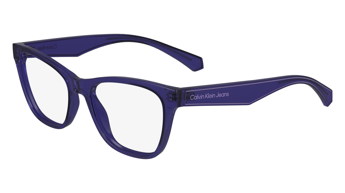 CALVIN KLEIN JEANS CKJ24304 500 47