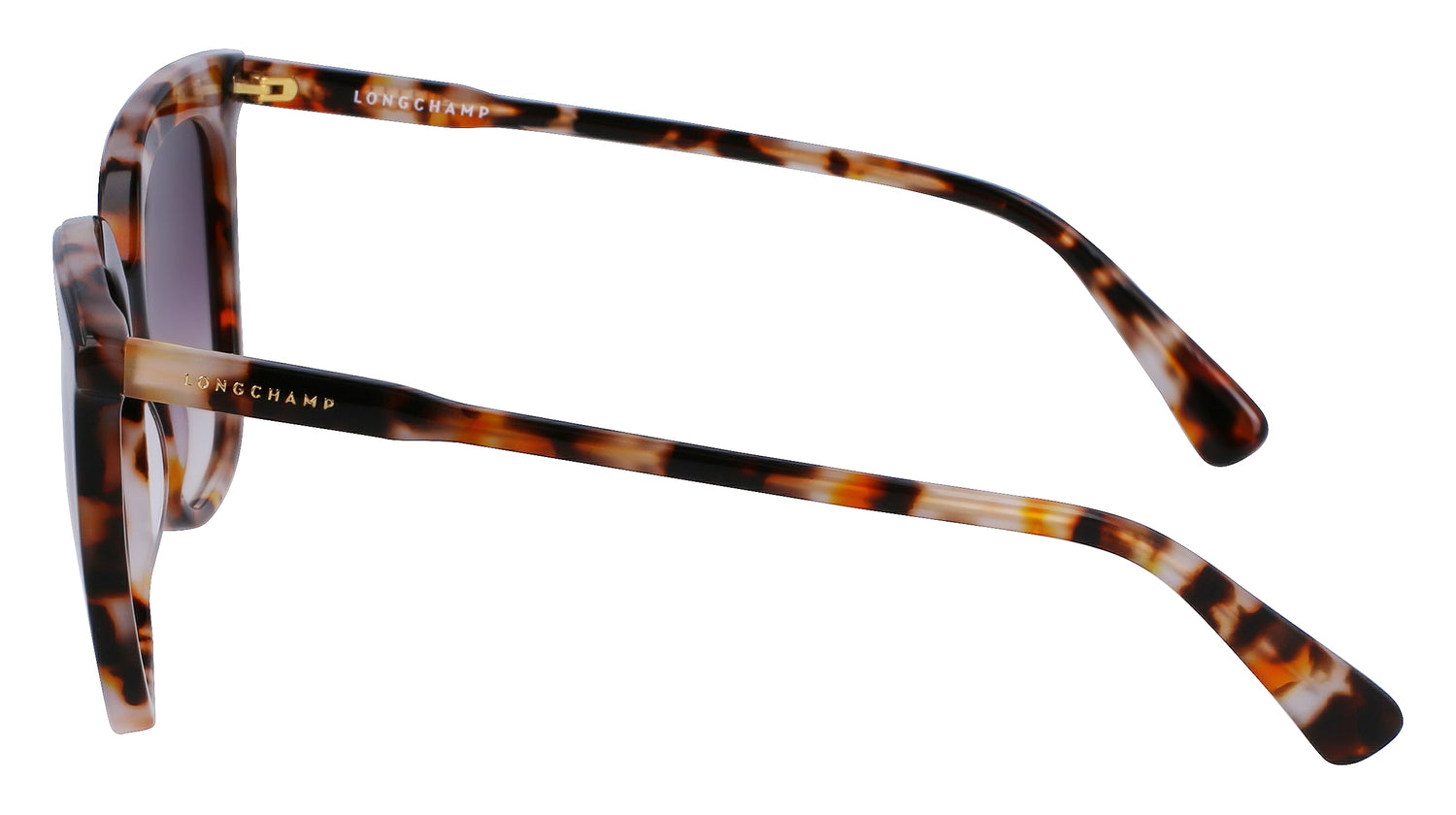 LONGCHAMP LO728S 239 53