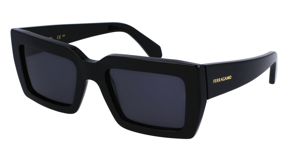 FERRAGAMO SF1108S 001 54