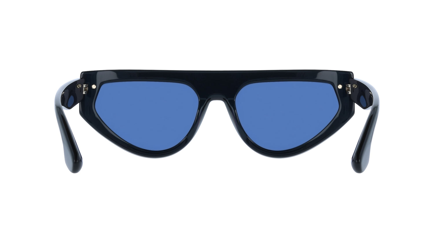 VICTORIA BECKHAM VB685S 415 56