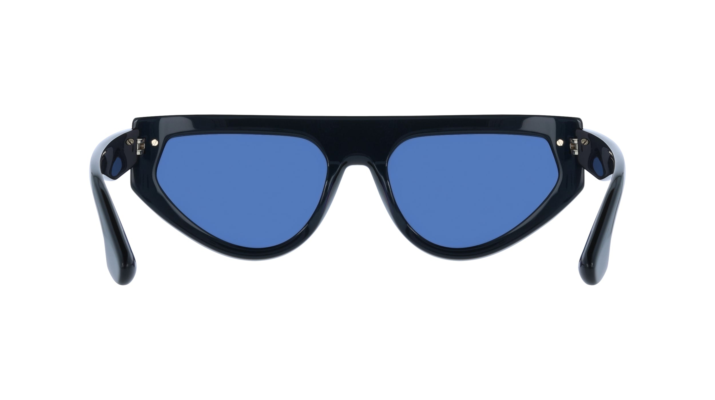 VICTORIA BECKHAM VB685S 415 56