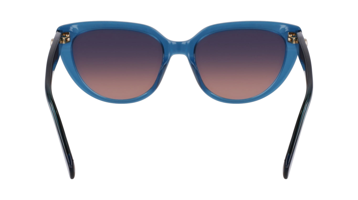 LONGCHAMP LO766S 400 53