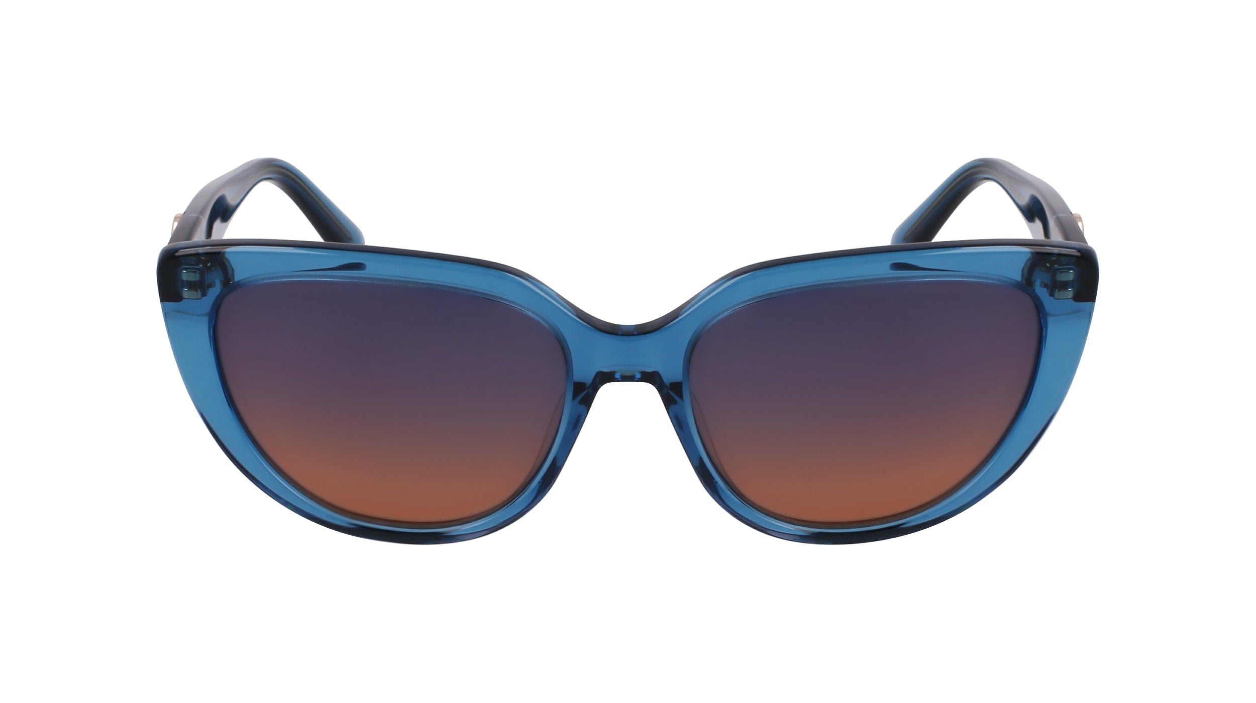 LONGCHAMP LO766S 400 53